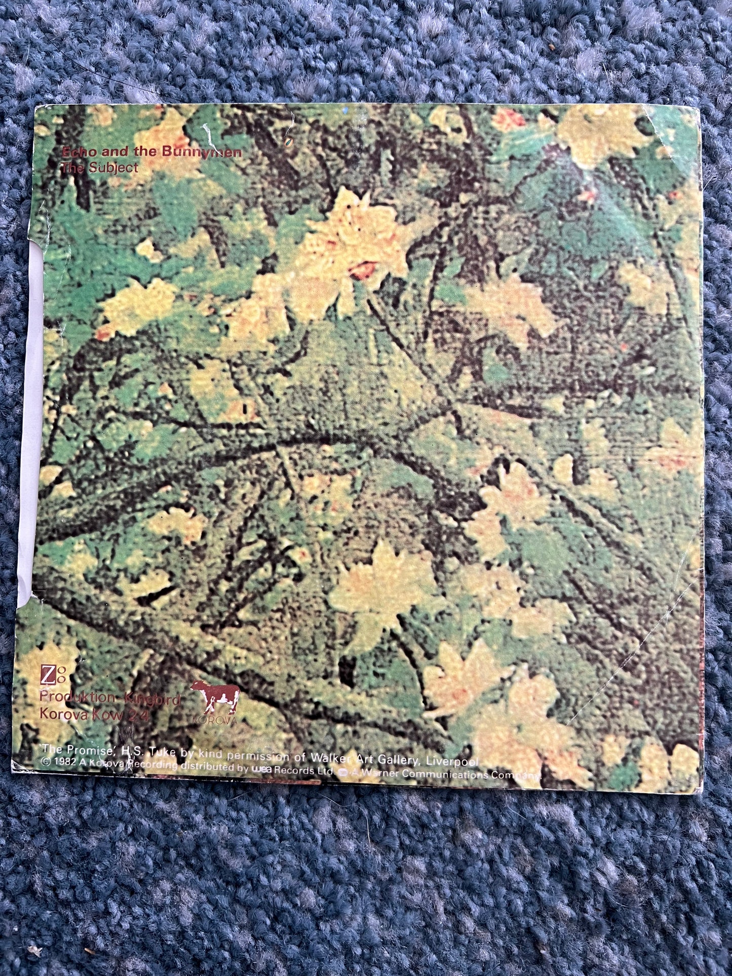 Collectible Vinyl Records