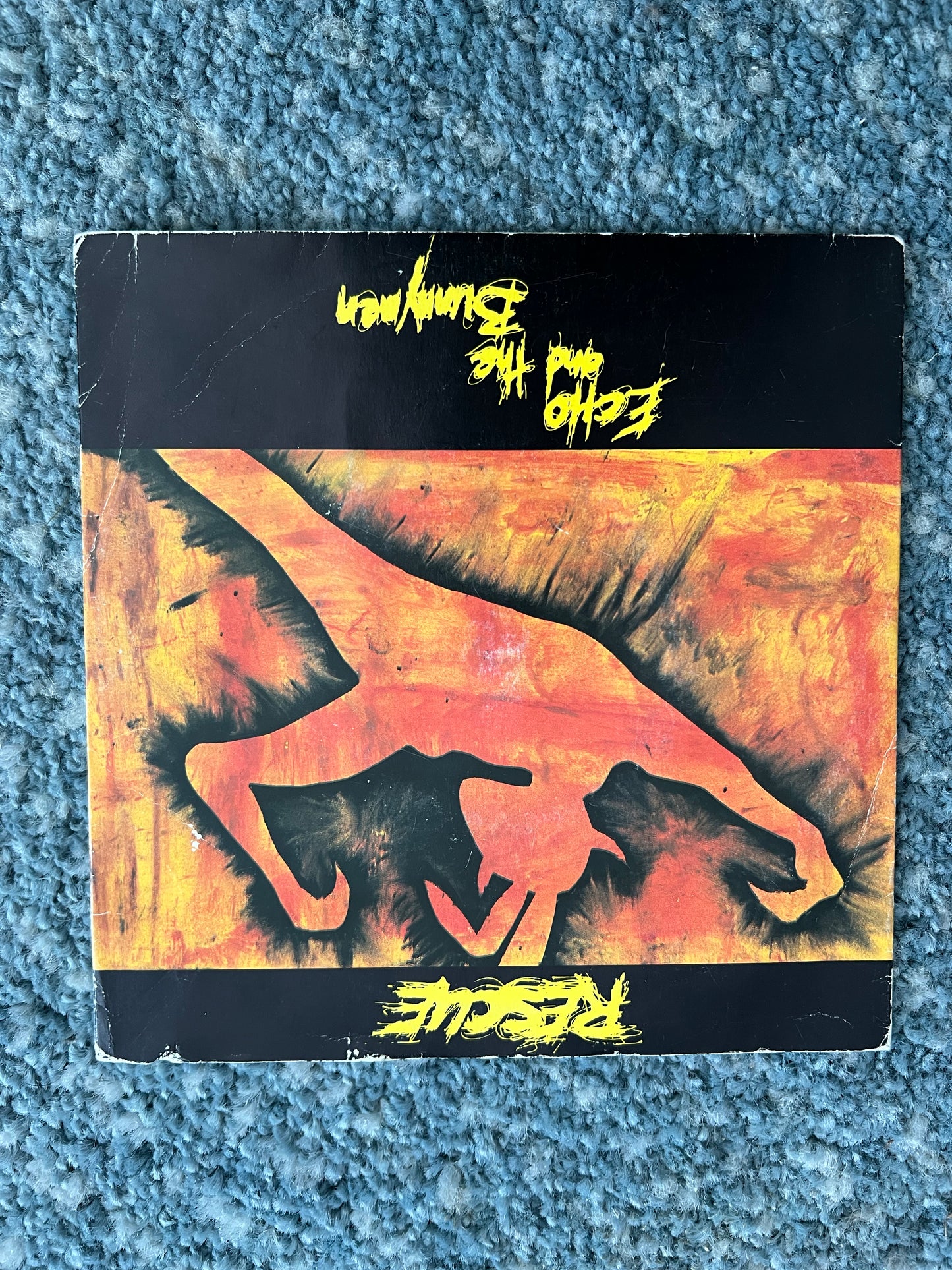 Collectible Vinyl Records