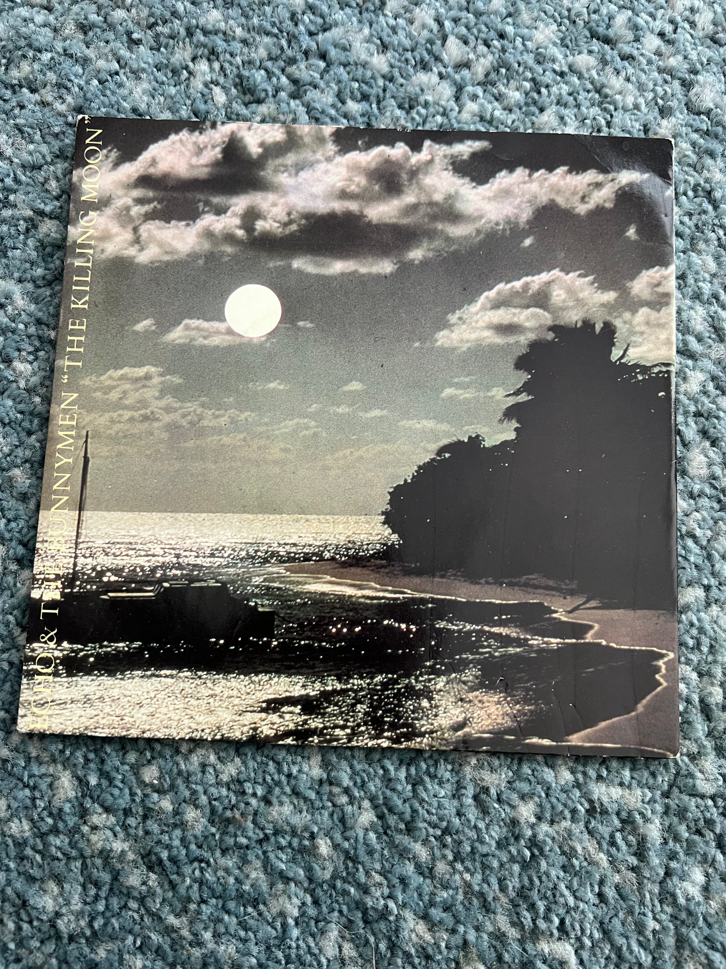 Collectible Vinyl Records