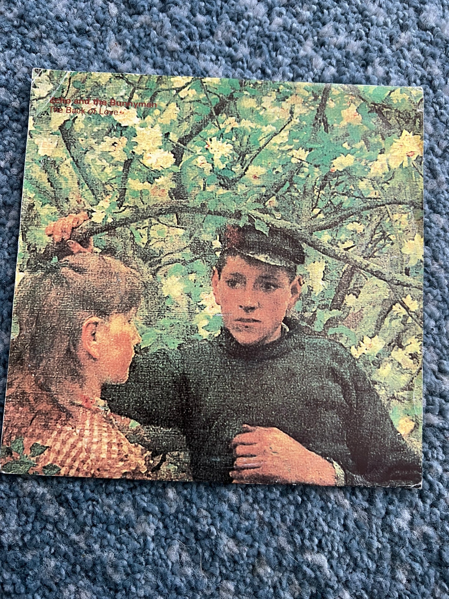 Collectible Vinyl Records