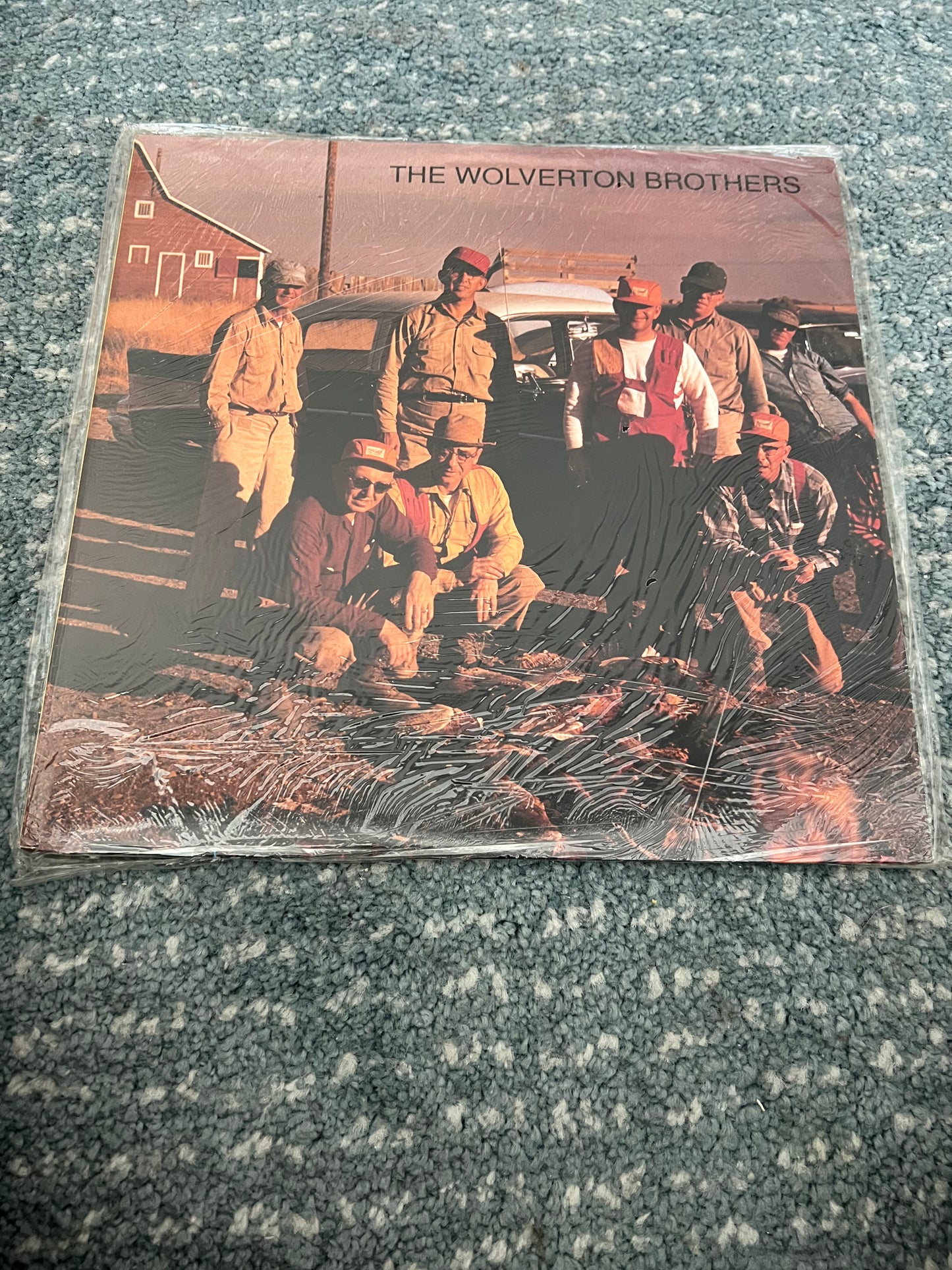 Collectible Vinyl Records