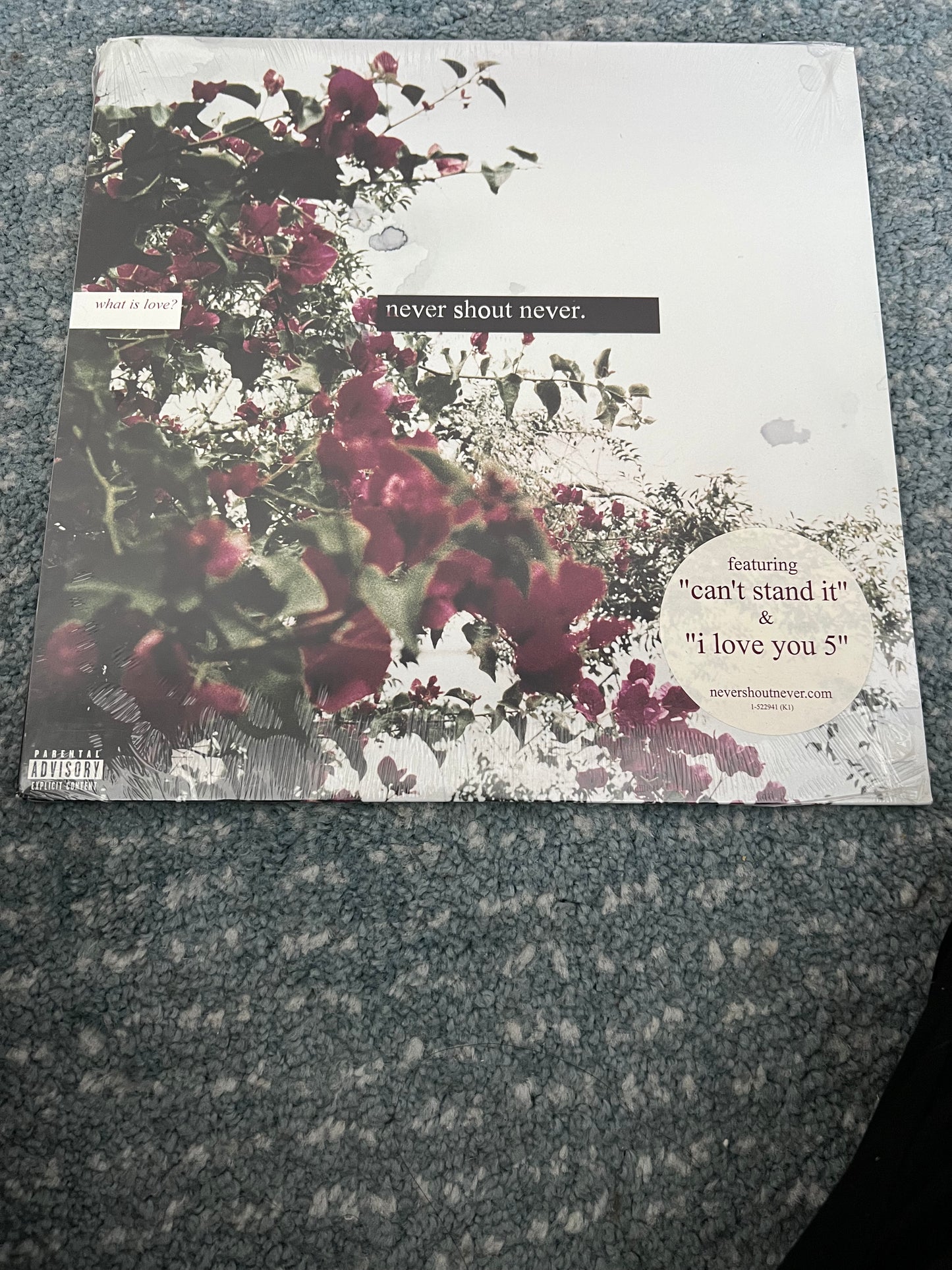 Collectible Vinyl Records